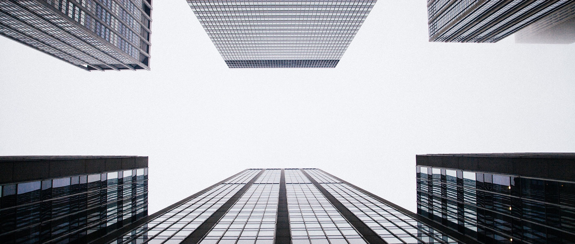 Focus: Salesforce.com